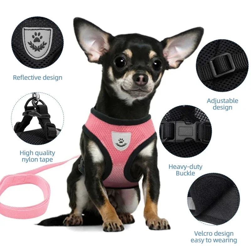 “Adjustable Cat & Dog Harness Vest – Walking Leash for Small & Medium Pets”
