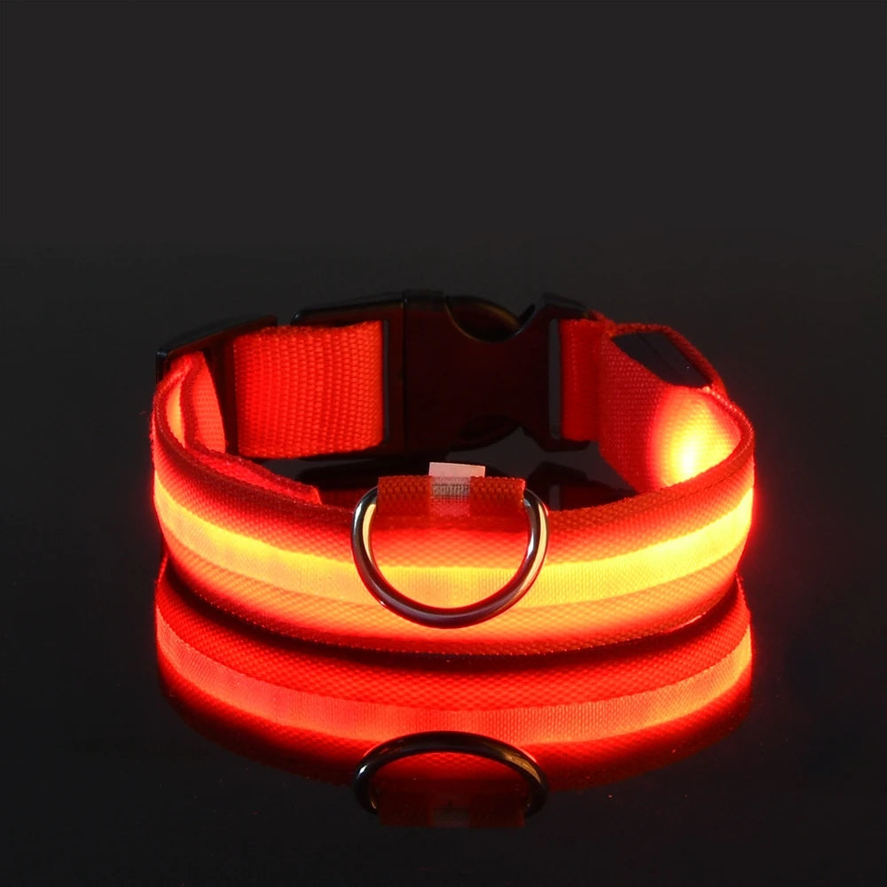 LED Dog Safety Leash USB Rechargeable Durable Nylon