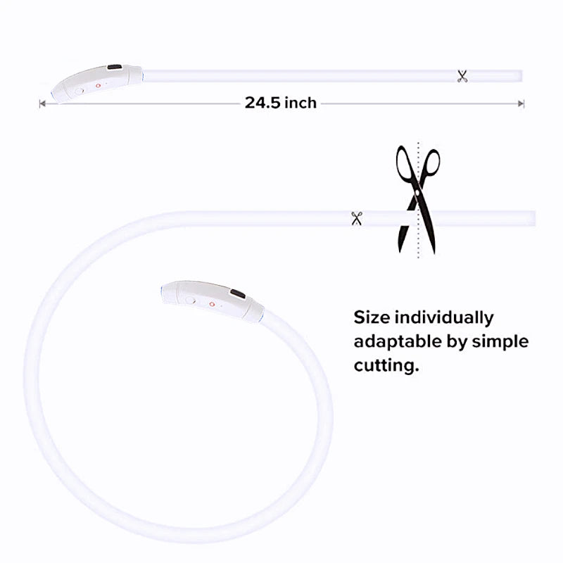 LED Glow Collar – USB Rechargeable Night Safety