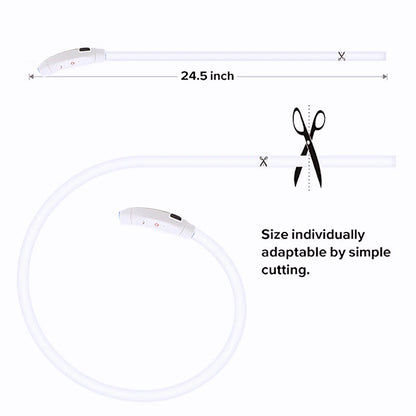 LED Glow Collar – USB Rechargeable Night Safety