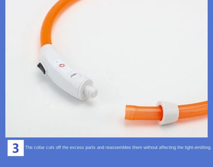 LED Glow Collar – USB Rechargeable Night Safety
