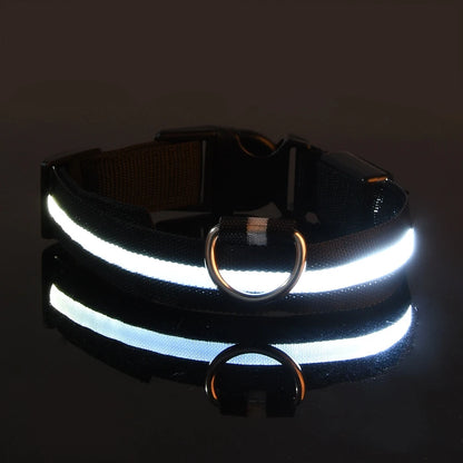 LED Dog Safety Leash USB Rechargeable Durable Nylon