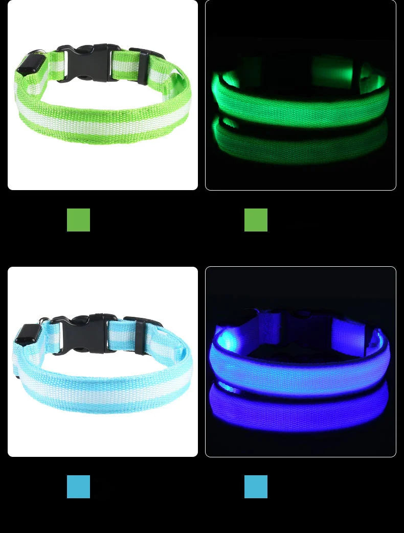 LED Dog Safety Leash USB Rechargeable Durable Nylon
