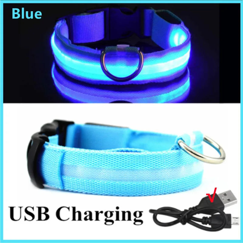 LED Glow Collar – USB Rechargeable Night Safety