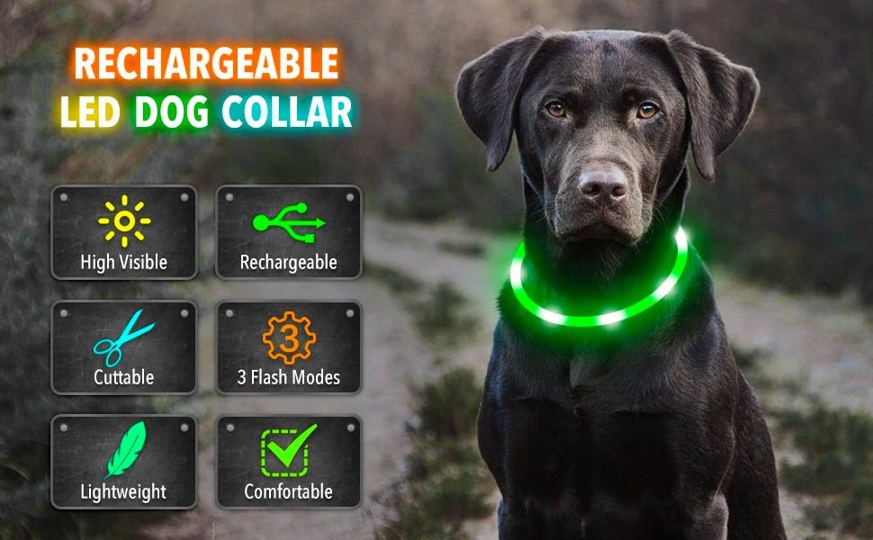 LED Glow Collar – USB Rechargeable Night Safety