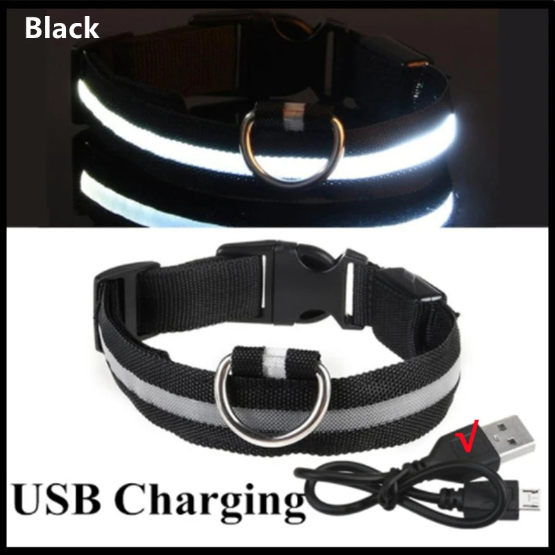 LED Glow Collar – USB Rechargeable Night Safety