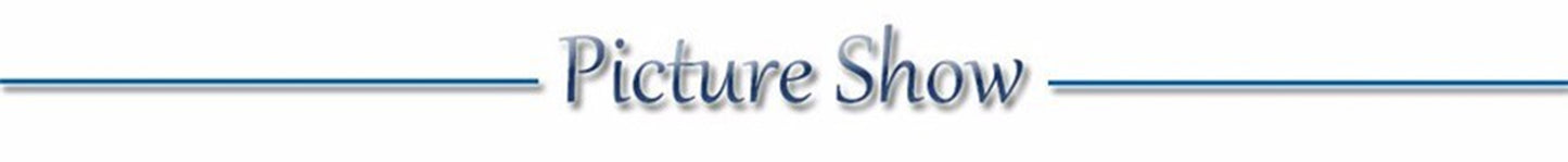 LED Glow Collar – USB Rechargeable Night Safety