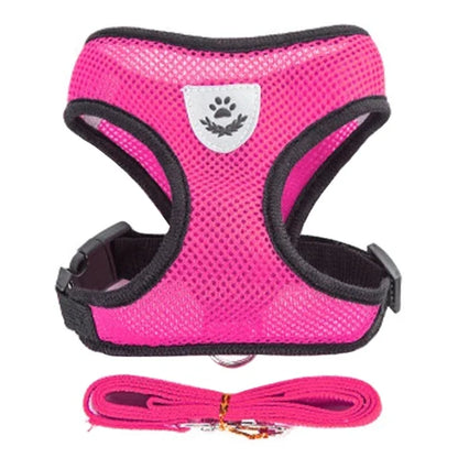 “Adjustable Cat & Dog Harness Vest – Walking Leash for Small & Medium Pets”