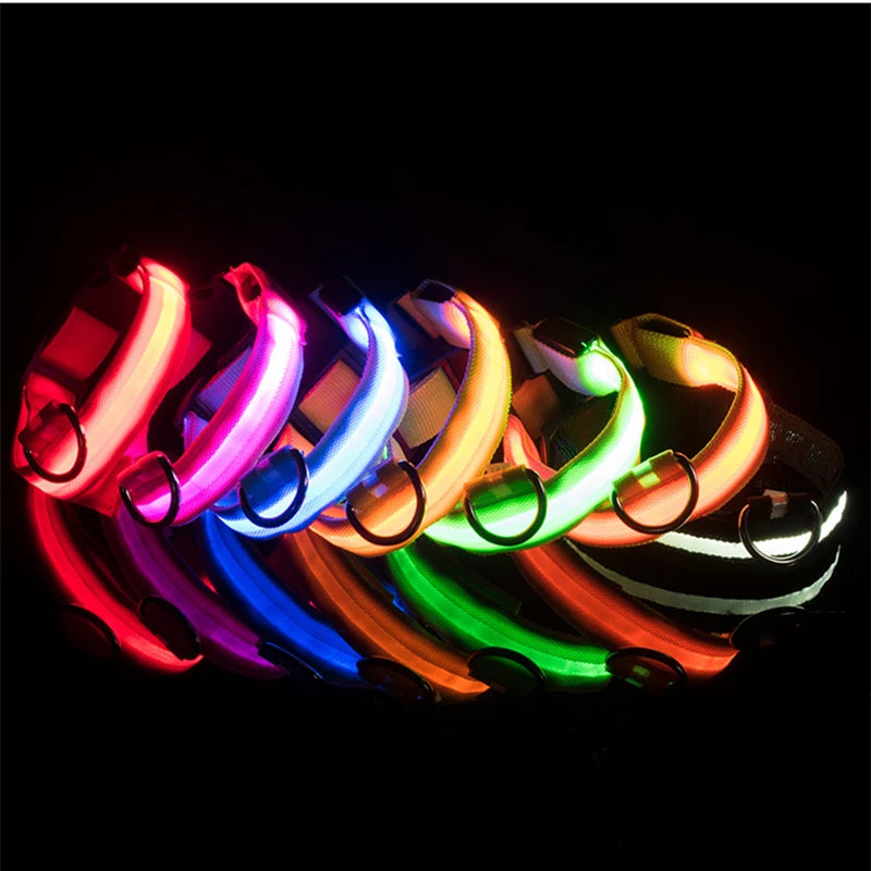 LED Glow Collar – USB Rechargeable Night Safety