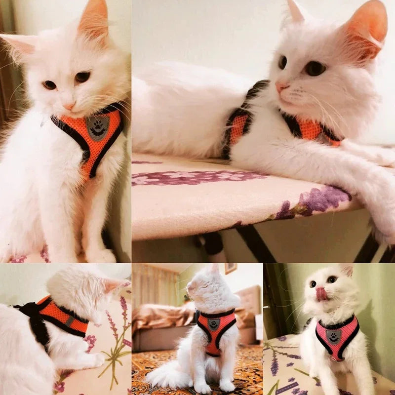 “Adjustable Cat & Dog Harness Vest – Walking Leash for Small & Medium Pets”