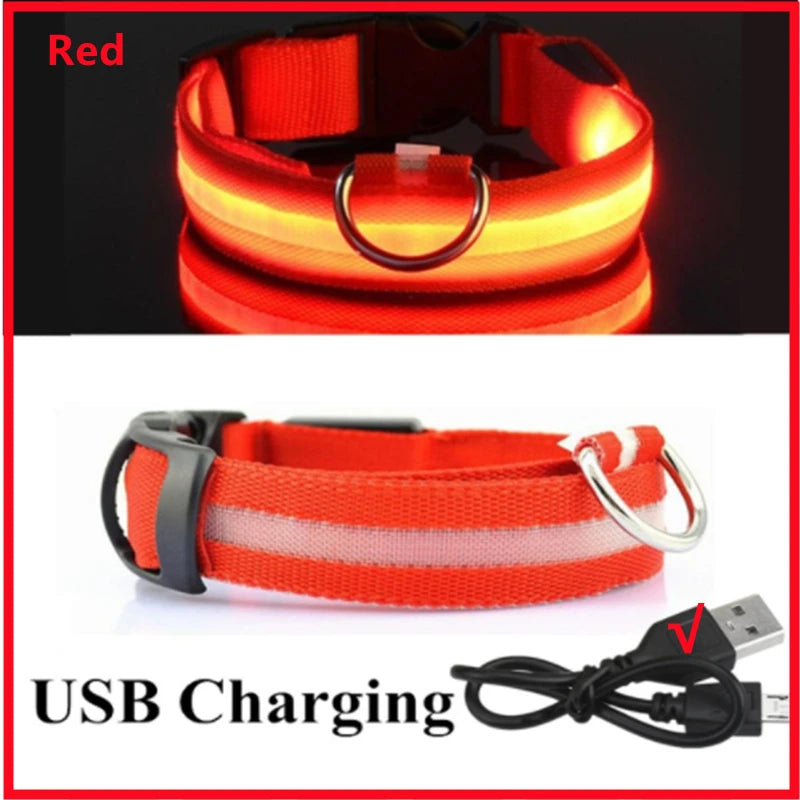 LED Glow Collar – USB Rechargeable Night Safety