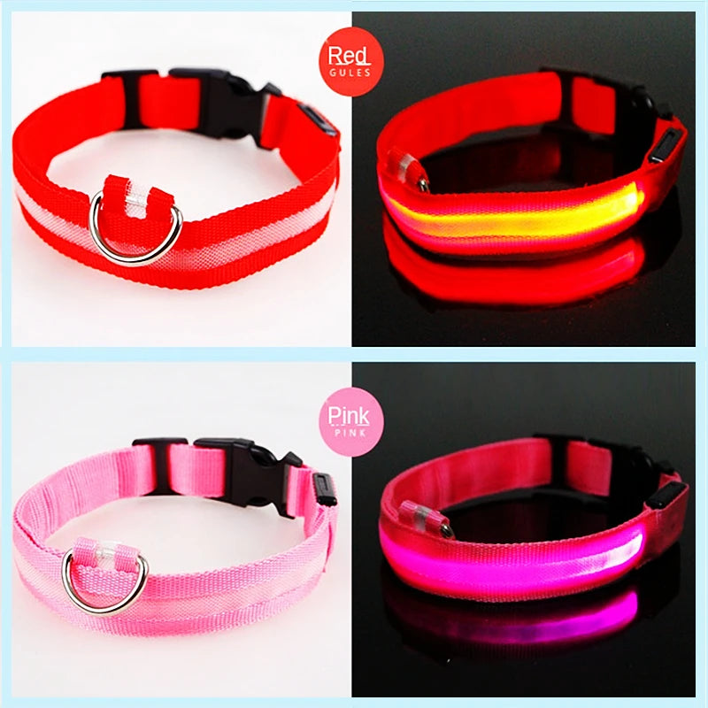 LED Glow Collar – USB Rechargeable Night Safety