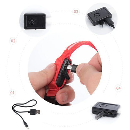 LED Glow Collar – USB Rechargeable Night Safety