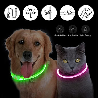 LED Glow Collar – USB Rechargeable Night Safety