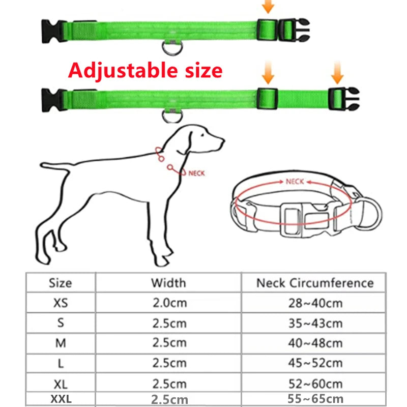 LED Glow Collar – USB Rechargeable Night Safety