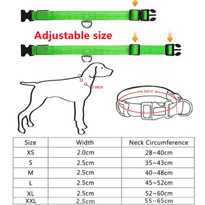 LED Glow Collar – USB Rechargeable Night Safety