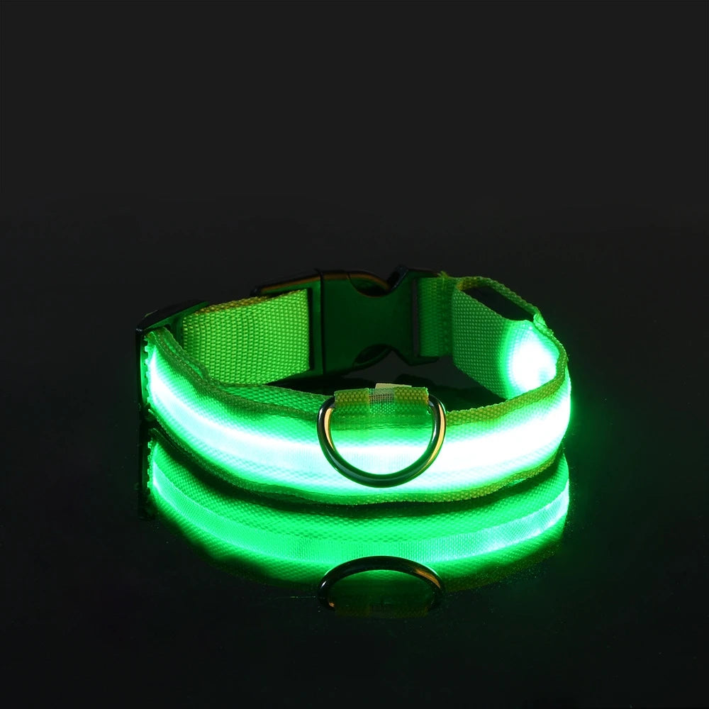 LED Dog Safety Leash USB Rechargeable Durable Nylon