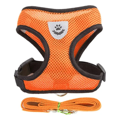 “Adjustable Cat & Dog Harness Vest – Walking Leash for Small & Medium Pets”