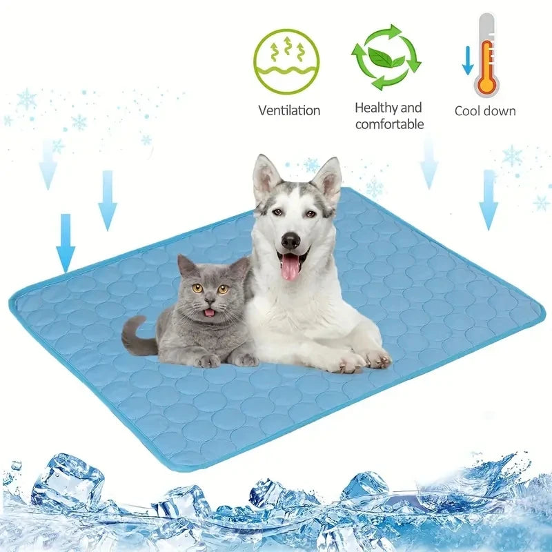 Blue Dog pee pad 