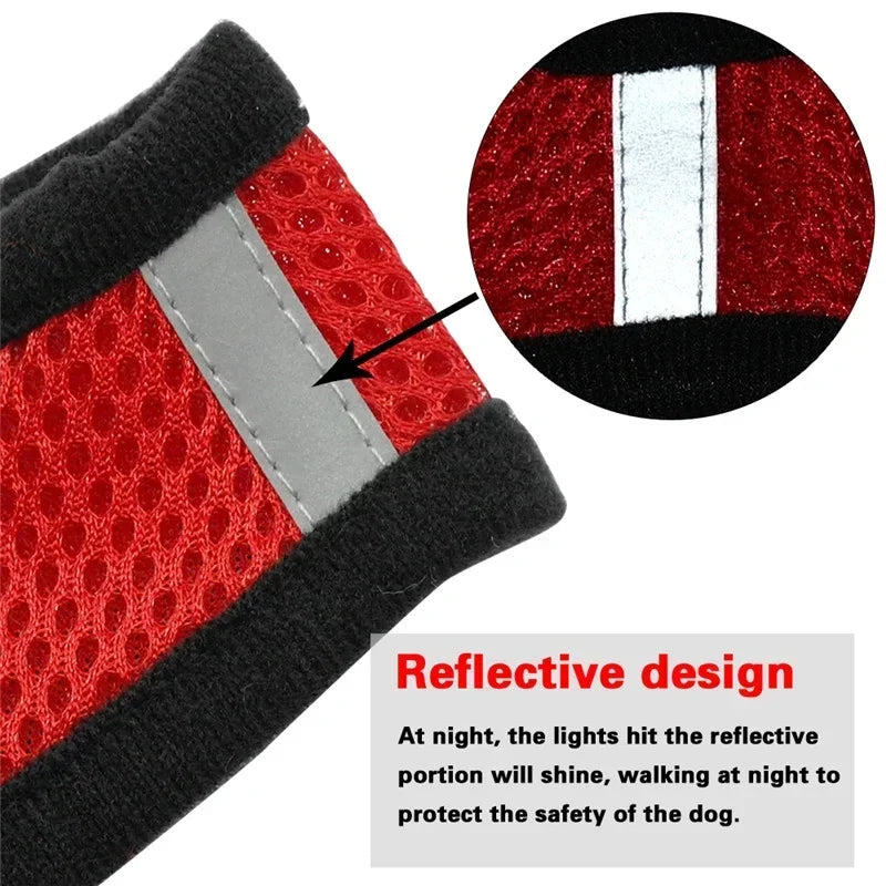 “Adjustable Cat & Dog Harness Vest – Walking Leash for Small & Medium Pets”