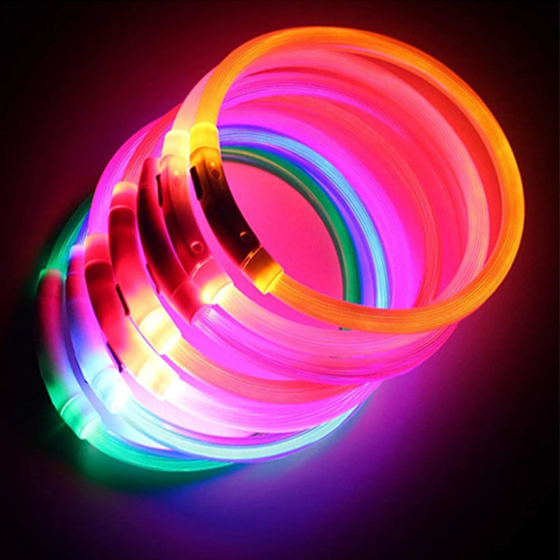 LED Glow Collar – USB Rechargeable Night Safety