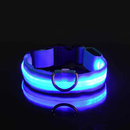 LED Dog Safety Leash USB Rechargeable Durable Nylon