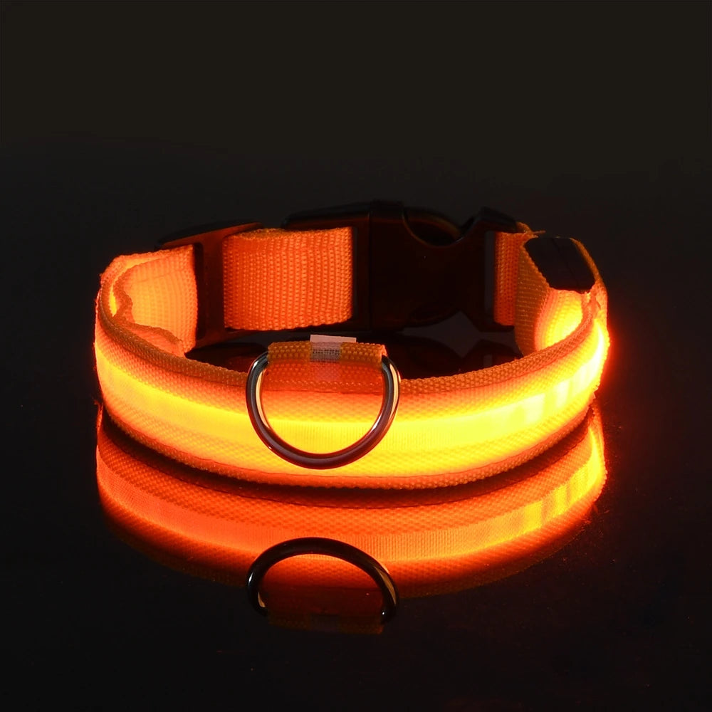 LED Dog Safety Leash USB Rechargeable Durable Nylon
