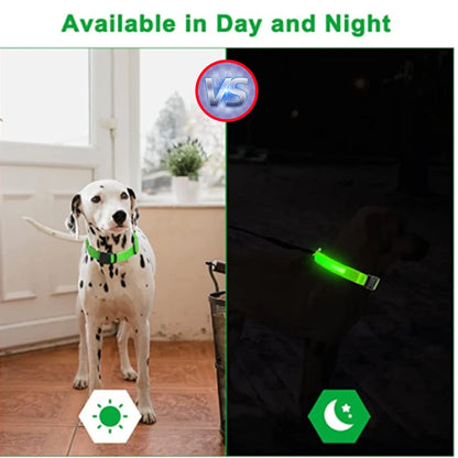 LED Glow Collar – USB Rechargeable Night Safety