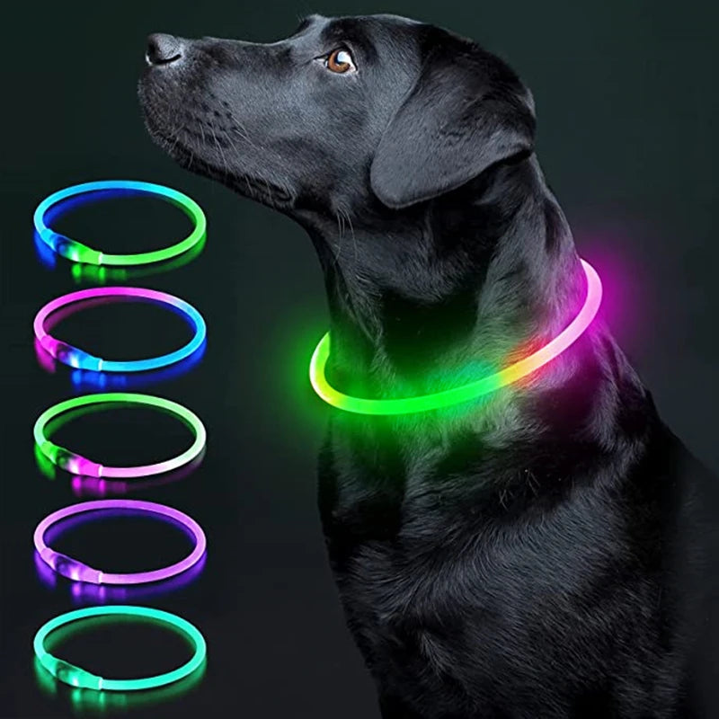 LED Glow Collar – USB Rechargeable Night Safety