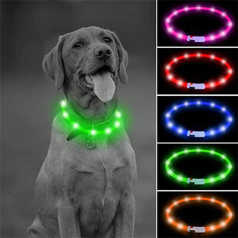 LED Glow Collar – USB Rechargeable Night Safety