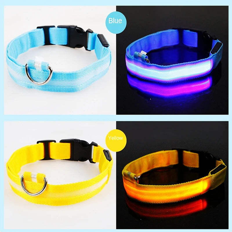 LED Glow Collar – USB Rechargeable Night Safety
