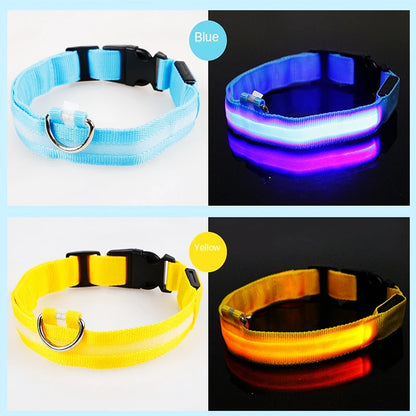 LED Glow Collar – USB Rechargeable Night Safety