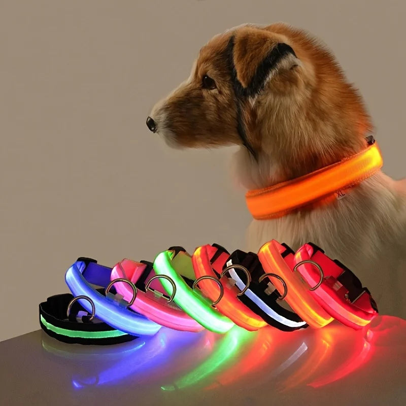 LED Dog Safety Leash USB Rechargeable Durable Nylon