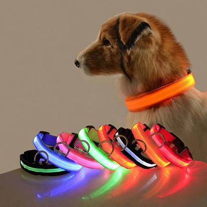 LED Dog Safety Leash USB Rechargeable Durable Nylon