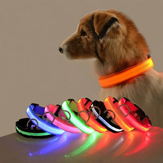 LED Dog Safety Leash USB Rechargeable Durable Nylon