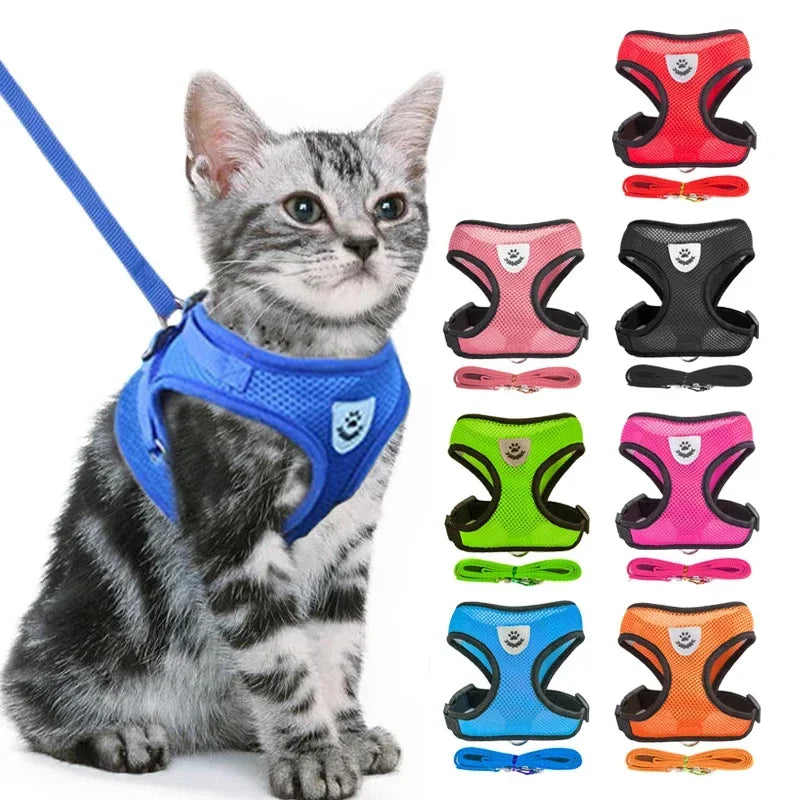 “Adjustable Cat & Dog Harness Vest – Walking Leash for Small & Medium Pets”