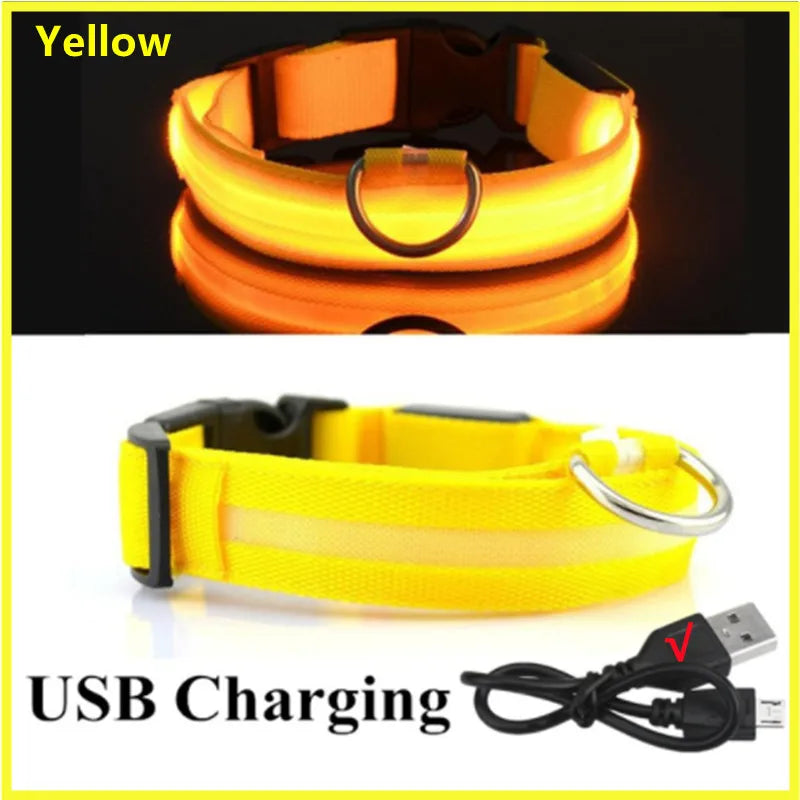 LED Glow Collar – USB Rechargeable Night Safety