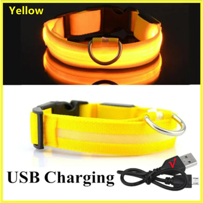 LED Glow Collar – USB Rechargeable Night Safety