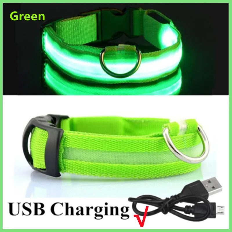 LED Glow Collar – USB Rechargeable Night Safety