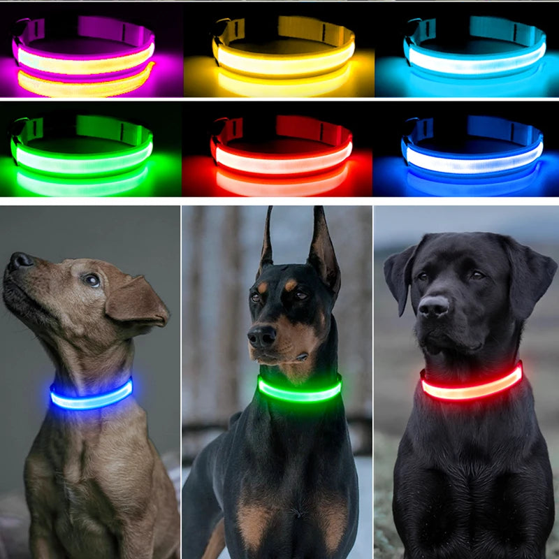 LED Glow Collar – USB Rechargeable Night Safety