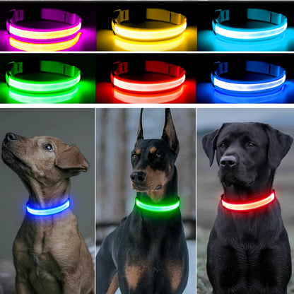 LED Glow Collar – USB Rechargeable Night Safety
