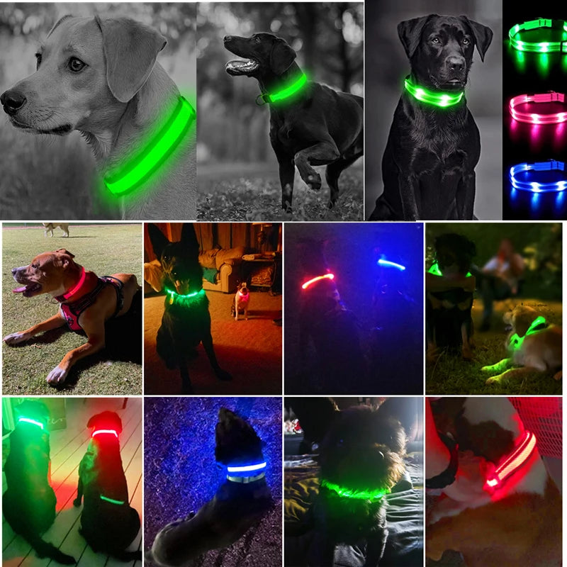 LED Glow Collar – USB Rechargeable Night Safety