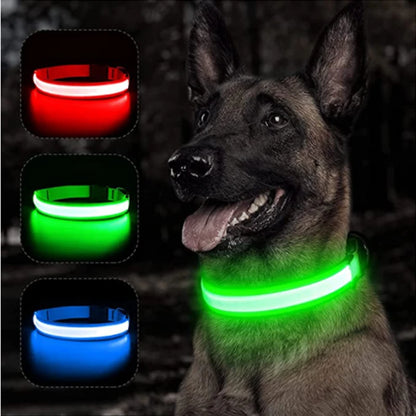 LED Glow Collar – USB Rechargeable Night Safety