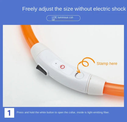 LED Glow Collar – USB Rechargeable Night Safety