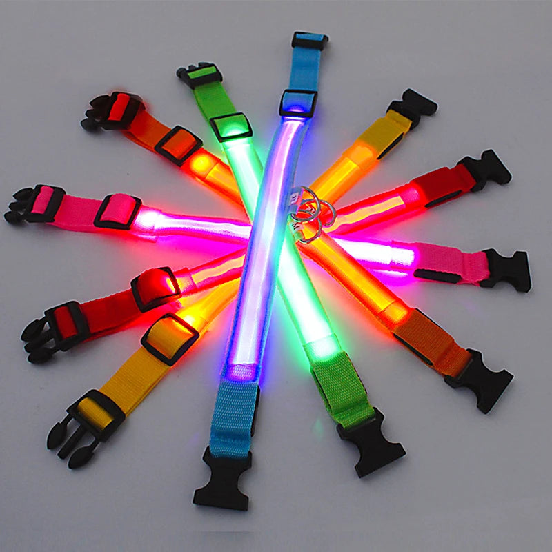 LED Glow Collar – USB Rechargeable Night Safety