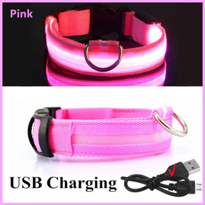 LED Glow Collar – USB Rechargeable Night Safety