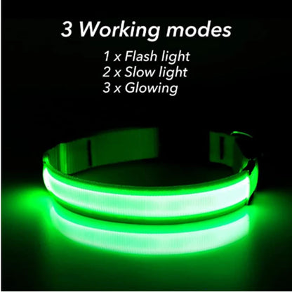 LED Glow Collar – USB Rechargeable Night Safety