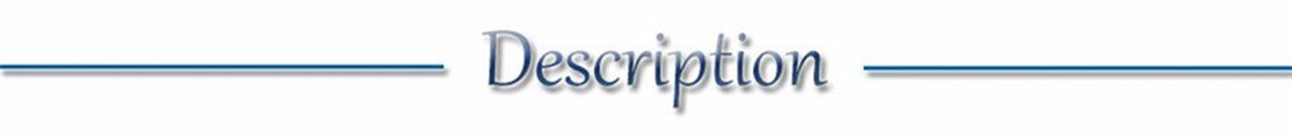 LED Glow Collar – USB Rechargeable Night Safety