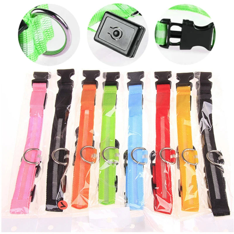 LED Glow Collar – USB Rechargeable Night Safety