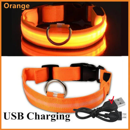 LED Glow Collar – USB Rechargeable Night Safety